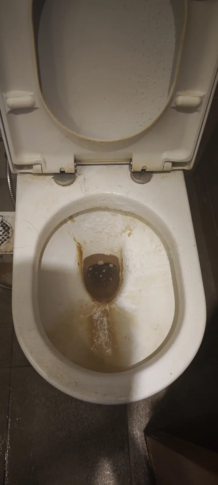 Toilet before deep cleaning
