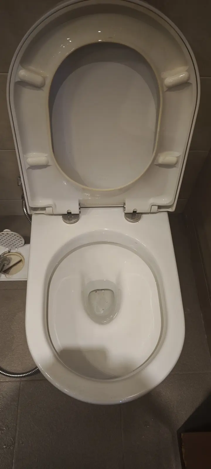 Clean toilet after end-of-tenancy service