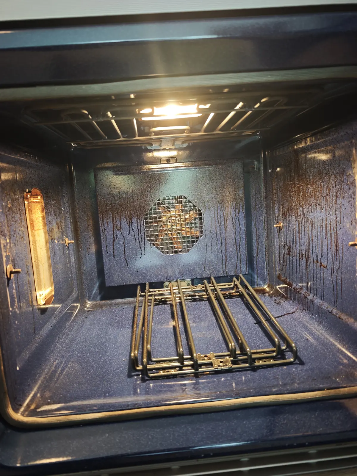 Oven interior during cleaning