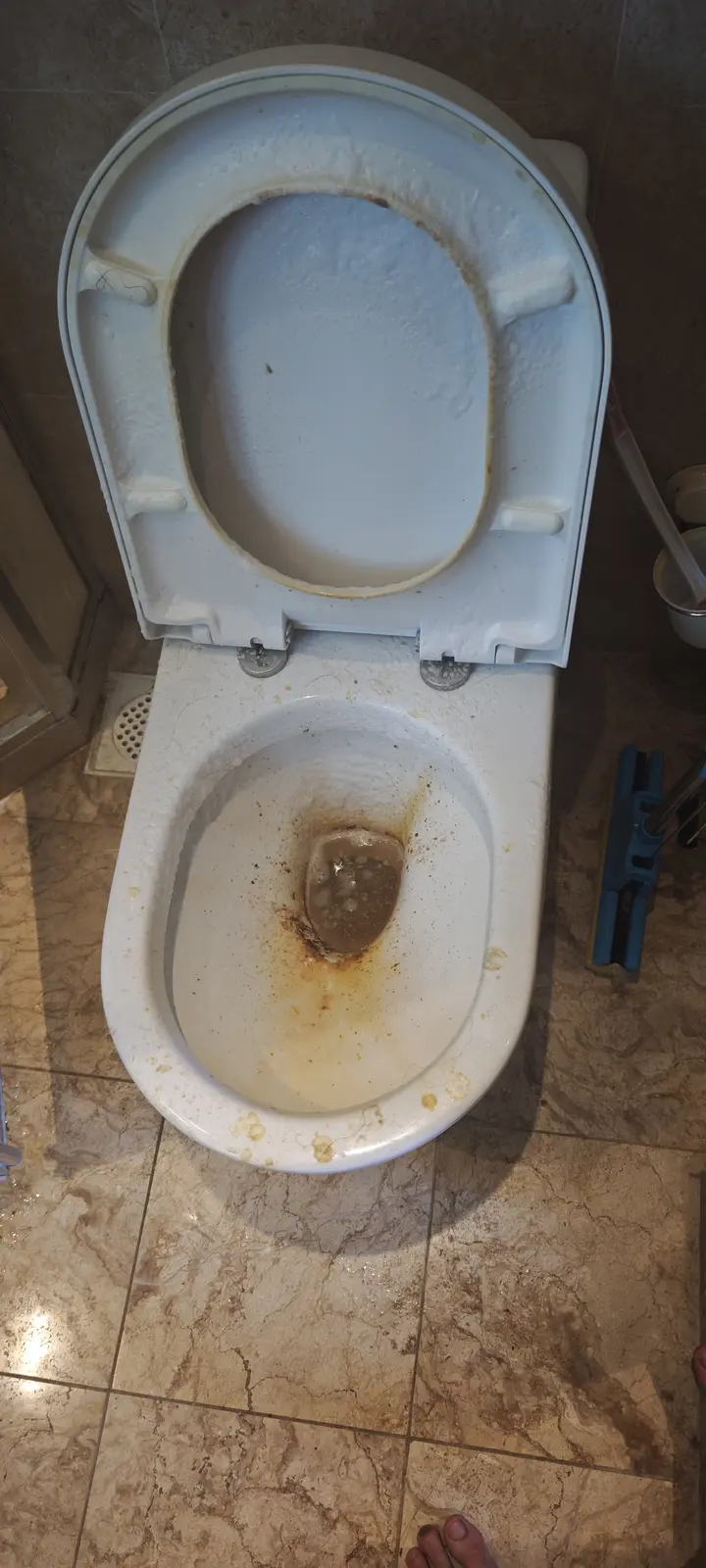 Toilet before end-of-tenancy cleaning