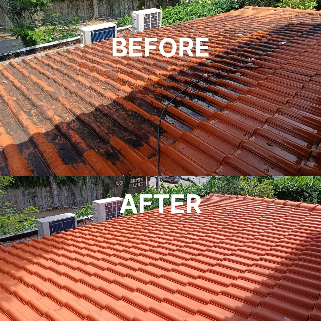 Roof tiles before and after jet washing