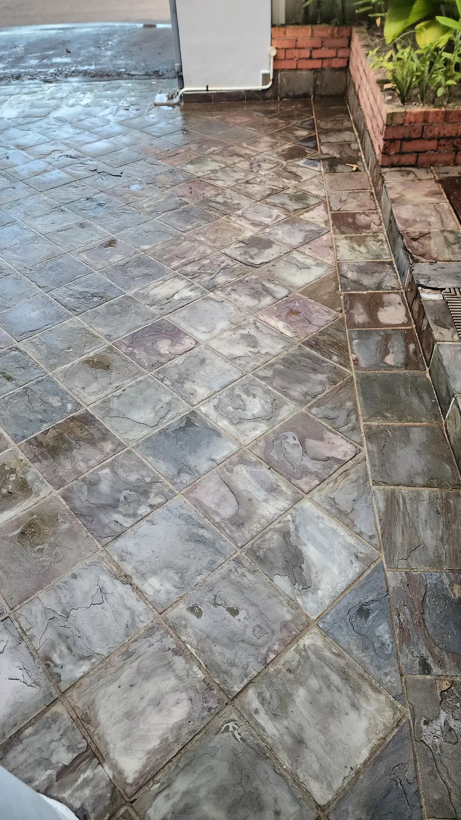 Outdoor stone path before jet washing