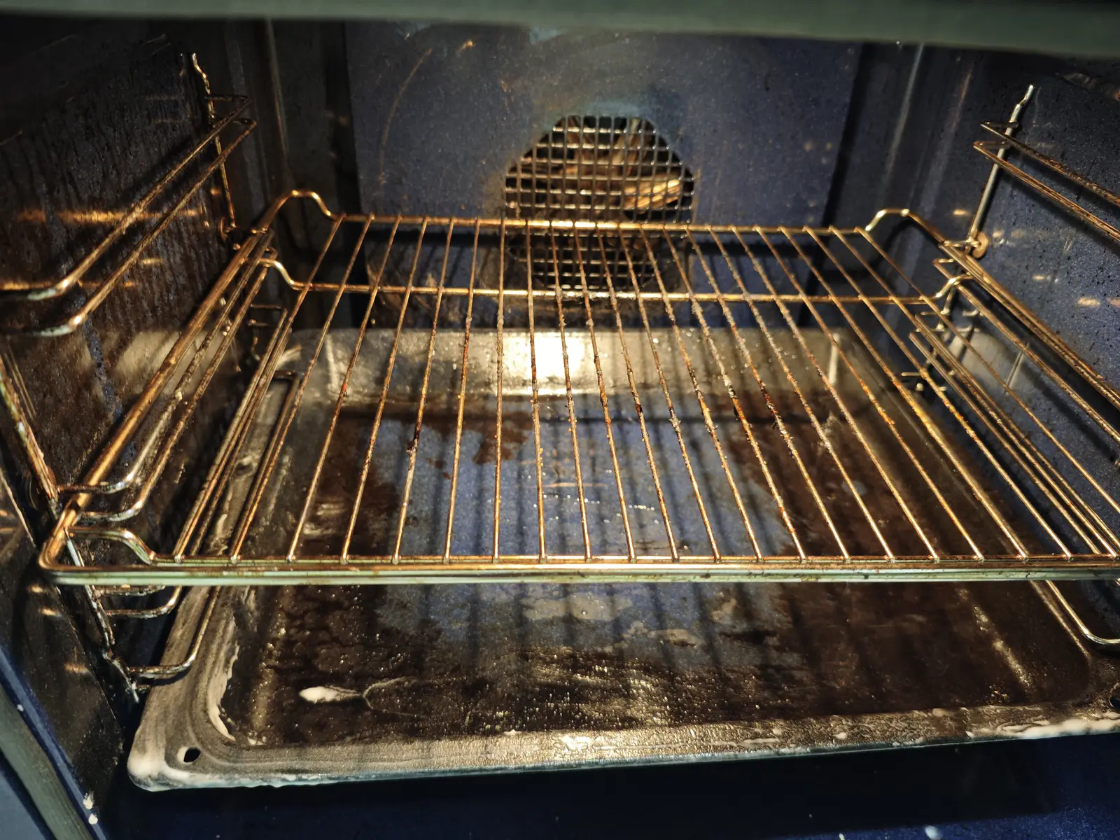 Oven racks during cleaning