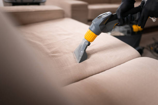 Is An Upholstery Cleaner Worth It Singapore