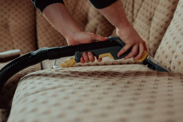 Is An Upholstery Cleaner Worth It