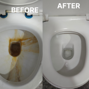 Toilet bowl stain removal