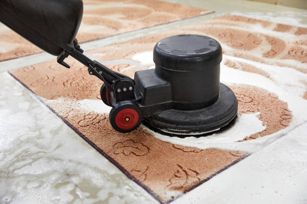Expert Carpet Cleaning Singapore